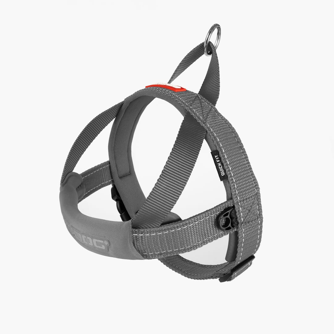 Quick Fit™ Dog Harness - Image 9